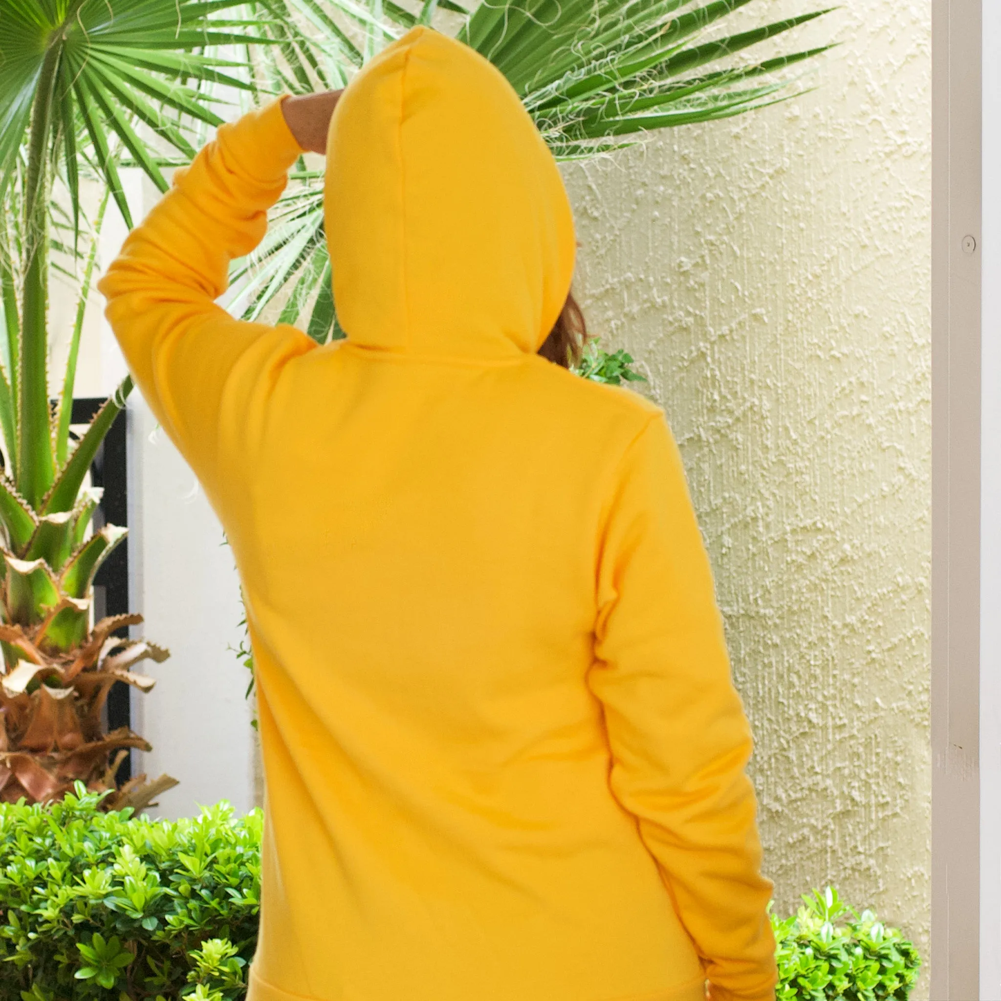 NASA Meatball Adult Hoodie