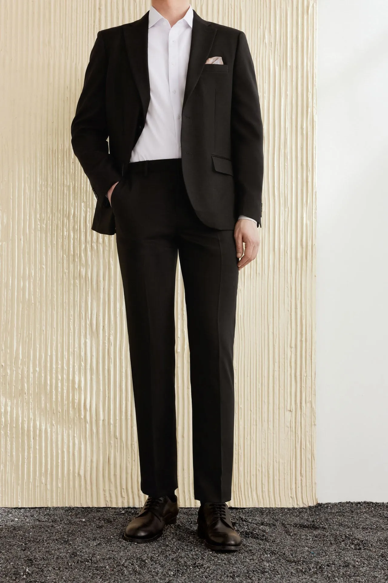Teflon Finishing Stain Resistant Formal Pants in Elastic Smart Fit