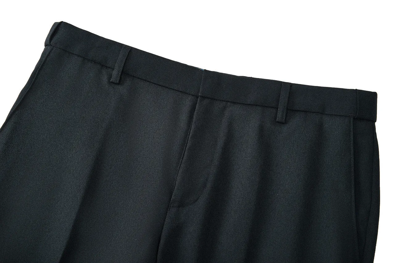 Teflon Finishing Stain Resistant Formal Pants in Elastic Smart Fit
