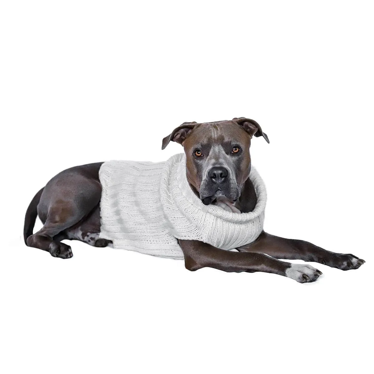 White Zoo Sweater